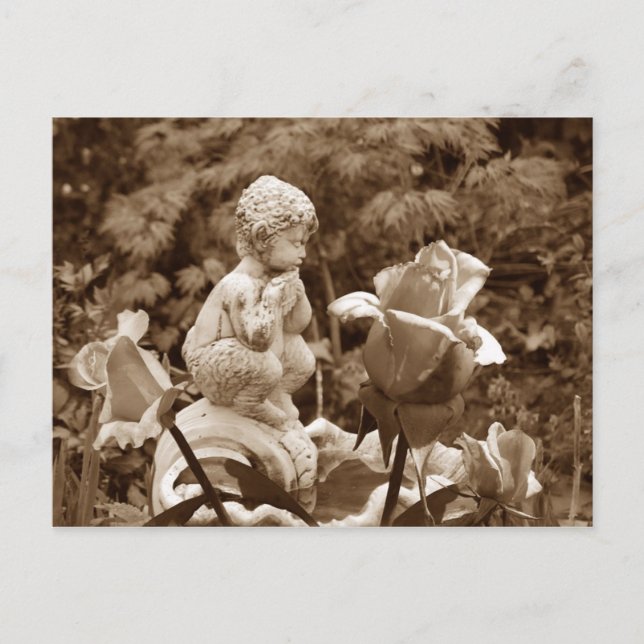 Cartão postal do Jardim Pan (Frente)