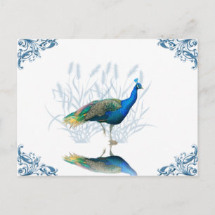 Cartão postal do Jardim Peacock