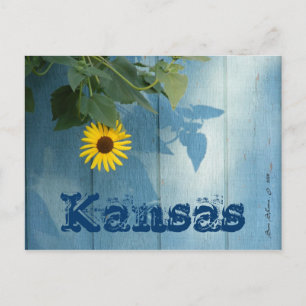 Cartão postal do Kansas: Azul girassol
