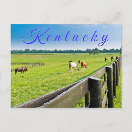 Cartão postal do Kentucky. Cavalos na fazenda de c