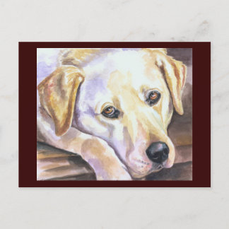 Cartão postal do Labrador Retriever