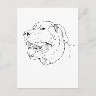 Cartão Postal do Labrador Retriever – Tinta Desenh