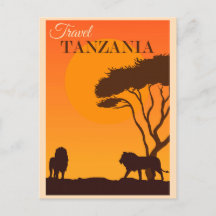 Cartão postal do Leão da África da Tanzânia