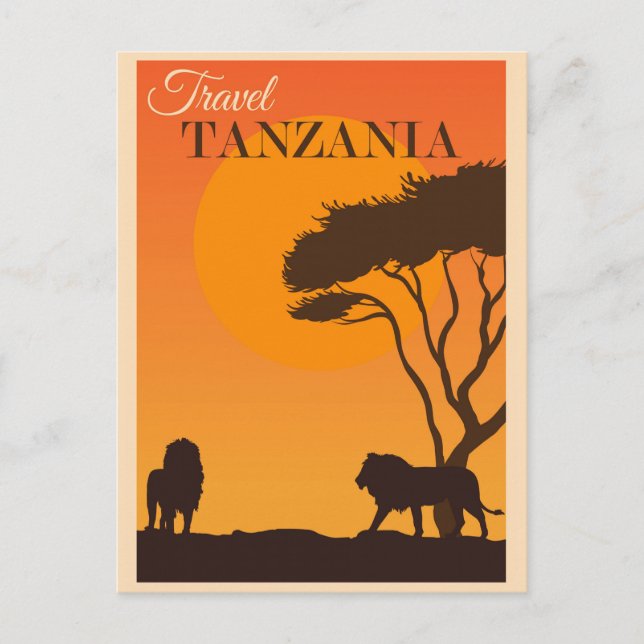 Cartão postal do Leão da África da Tanzânia (Frente)