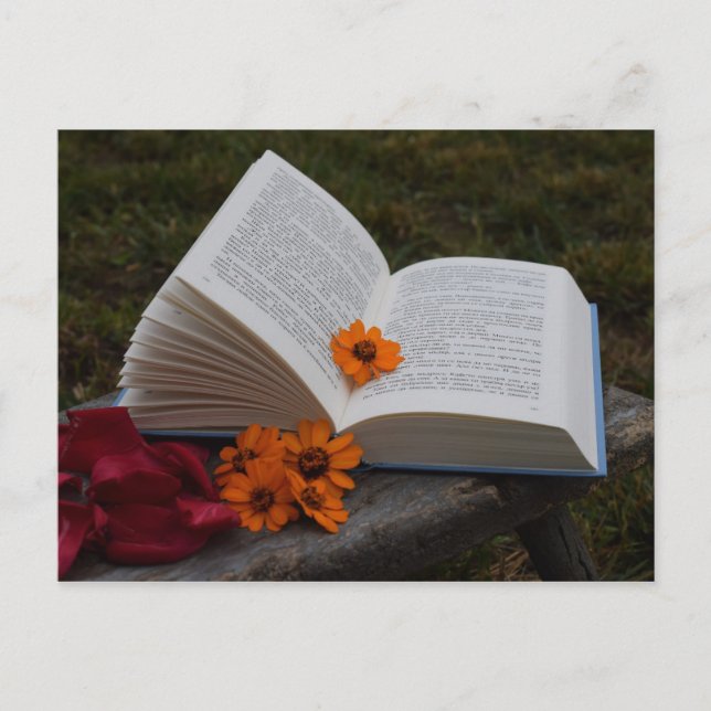 Cartão postal do livro (Frente)