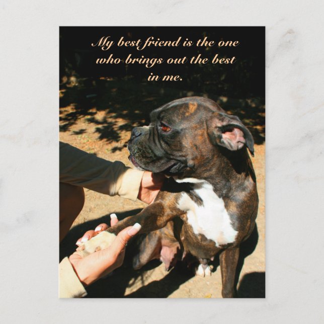Cartão postal do melhor amigo boxer (Frente)