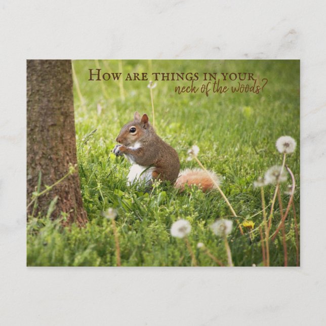 Cartão Postal Do Meu Pescoço da Floresta ao Seu Cartão-Postal (Frente)