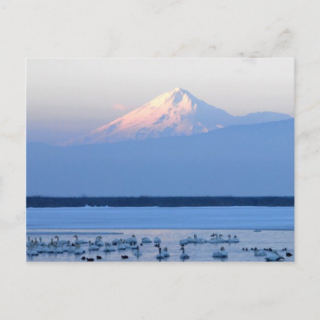 Cartão postal do Monte Shasta California (Frente)