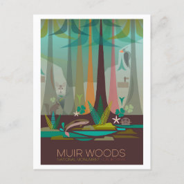 Cartão postal do Monumento Nacional de Muir Woods