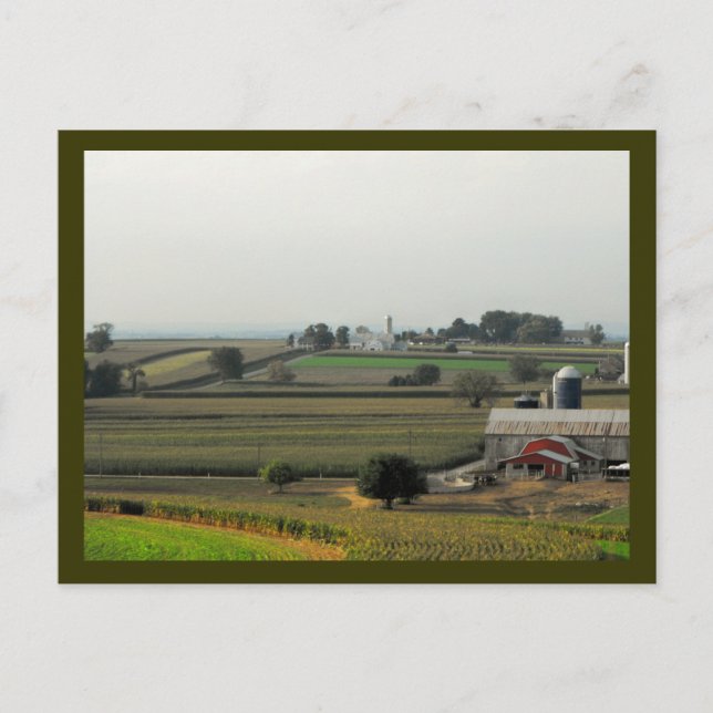 Cartão Postal Do Nível De Gafanhoto (Frente)