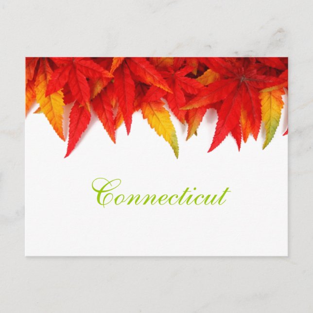 Cartão postal do outono de Connecticut (Frente)