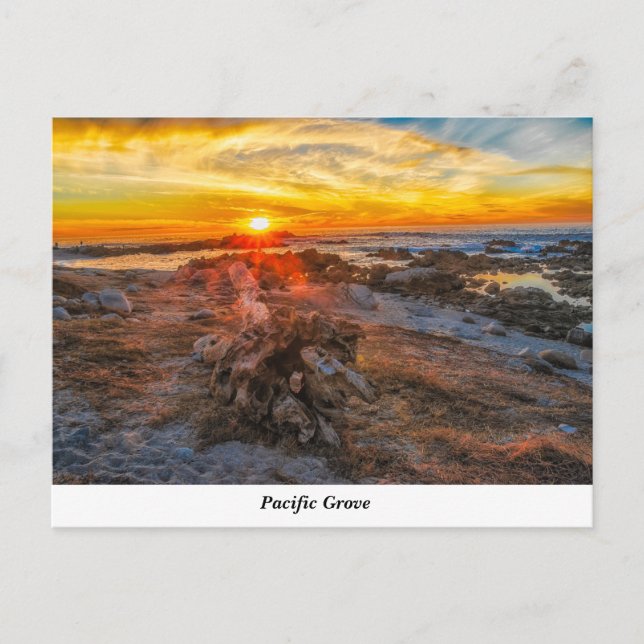 Cartão postal do Pacífico Grove (Frente)