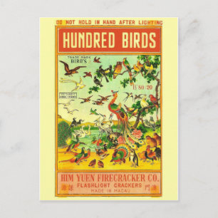 Cartão postal do Pacote Firecracker Vintage