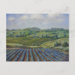 Cartão postal do país do vinho
