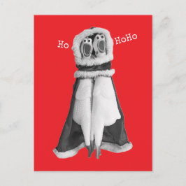 Cartão postal do Papai Noel de frango de borracha