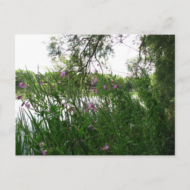 Cartão postal do Parque Estadual de Watermead (Frente)