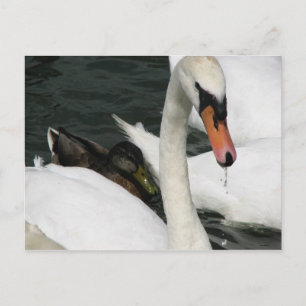 Cartão postal do Parque Estadual de Watermead