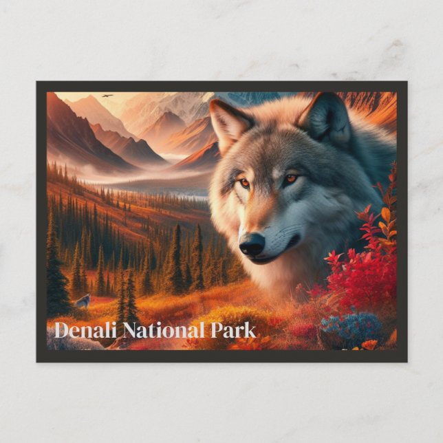 Cartão Postal do Parque Estadual Denali do Pôr do  (Frente)