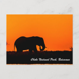 Cartão postal do Parque Nacional Chobe