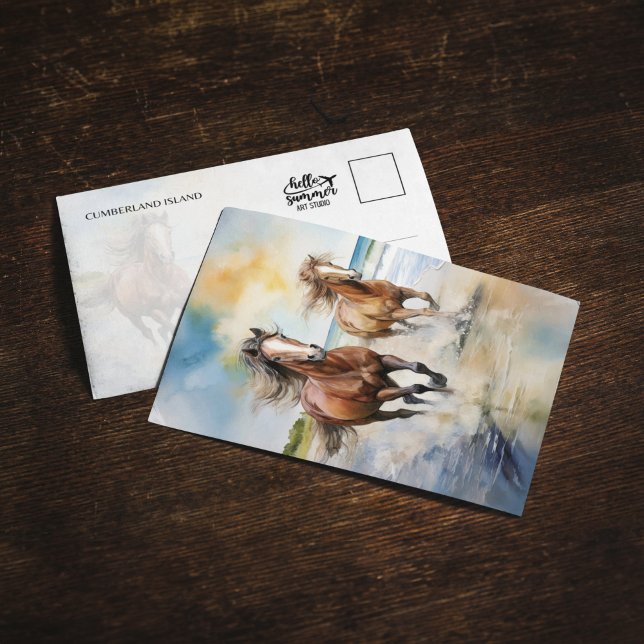 Cartão postal do Parque Nacional das Ilhas Cumberl (Criador carregado)