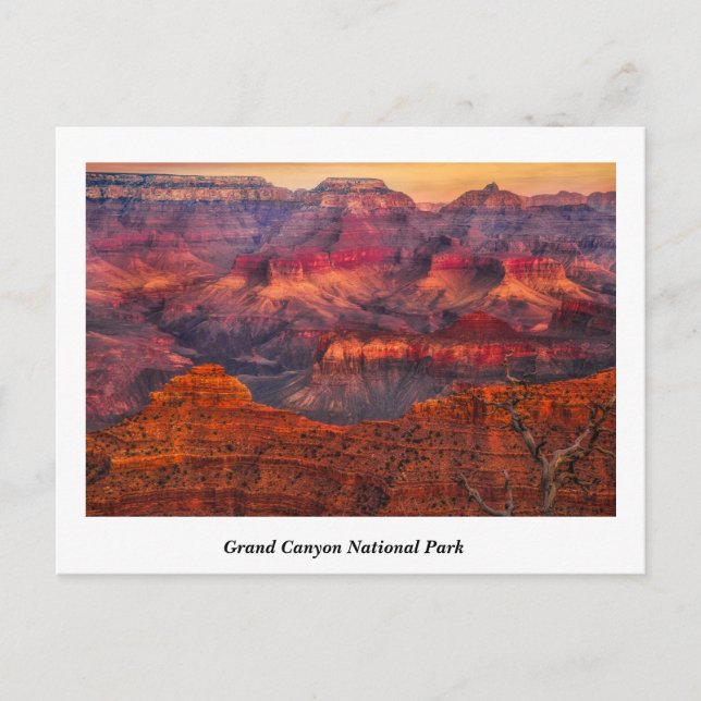 Cartão postal do Parque Nacional Grand Canyon (Frente)