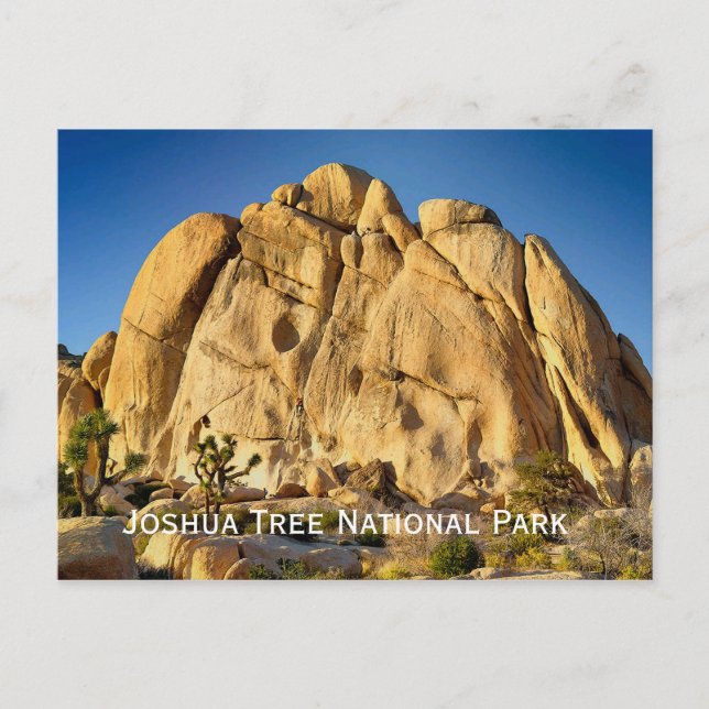 Cartão postal do Parque Nacional Joshua Tree (Frente)