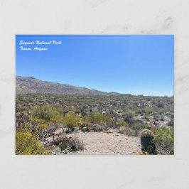 Cartão postal do Parque Nacional Saguaro