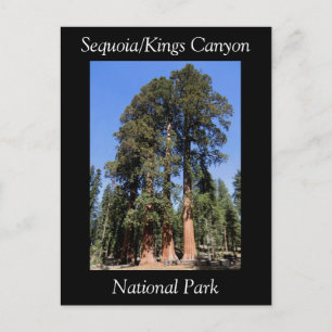 Cartão postal do Parque Nacional Sequoia Kings Ca