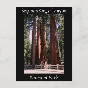 Cartão postal do Parque Nacional Sequoia Kings Ca