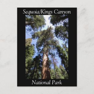 Cartão postal do Parque Nacional Sequoia Kings Can