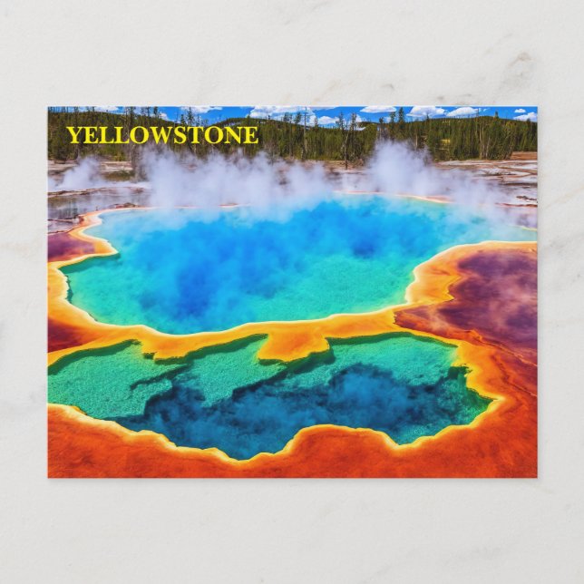 Cartão postal do Parque Nacional Yellowstone (Frente)
