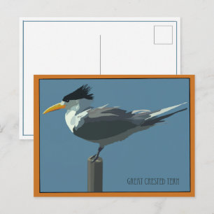 Cartão postal do pássaro - Trinta-réis-de-cristas