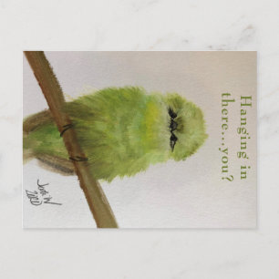 Cartão postal do pássaro verde "Segurando firme...
