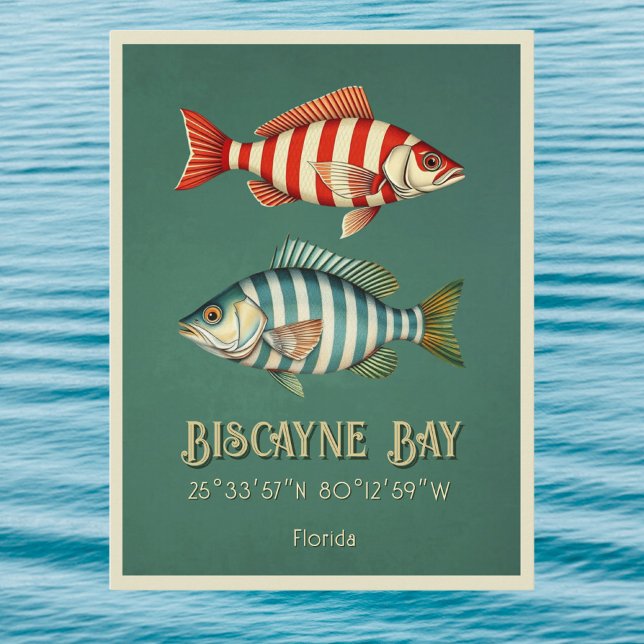 Cartão postal do peixe da Baía de Biscayne Florida (Criador carregado)