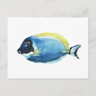 Cartão postal do peixe Powder Blue Tang