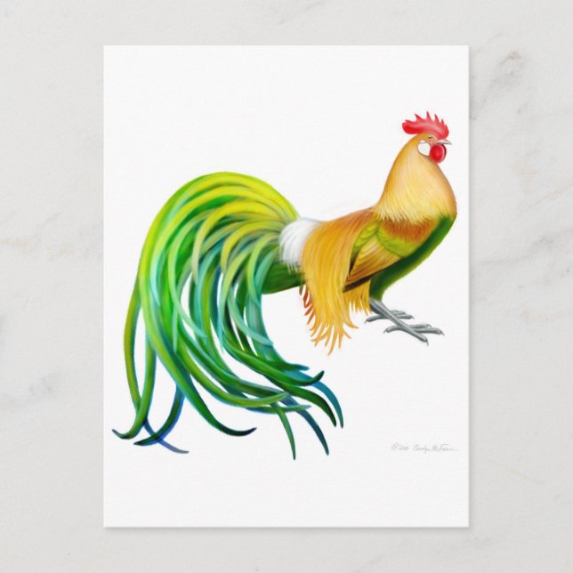 Cartão postal do Phoenix Rooster (Frente)