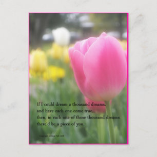 Cartão Postal do Poema Tulipa Rosa Um Milhar de So