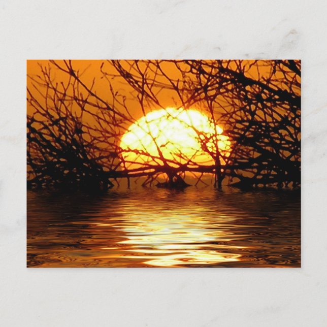 Cartão postal do pôr do sol líquido (Frente)