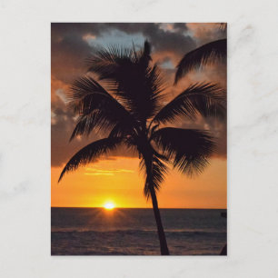 Cartão postal do pôr do sol, palmeiras e a praia