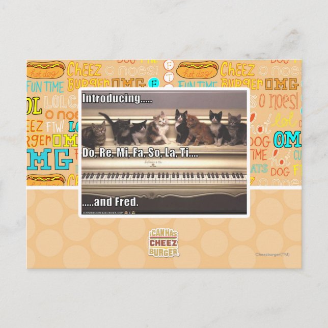 Cartão Postal Do, Re, Mi, Fa, La, Ti, Fred (Frente)