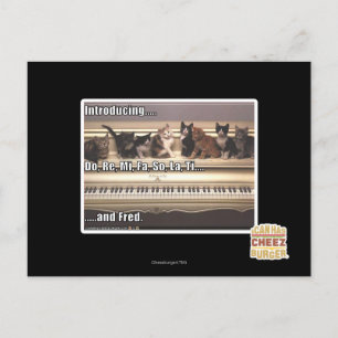 Cartão Postal Do, Re, Mi, Fa, La, Ti, Fred