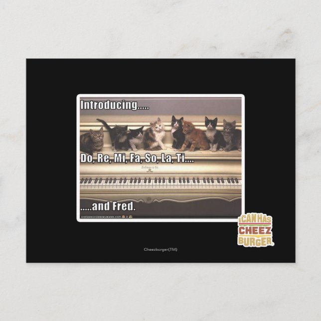 Cartão Postal Do, Re, Mi, Fa, La, Ti, Fred (Frente)