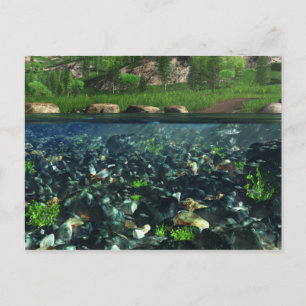 Cartão postal do rio Cwm