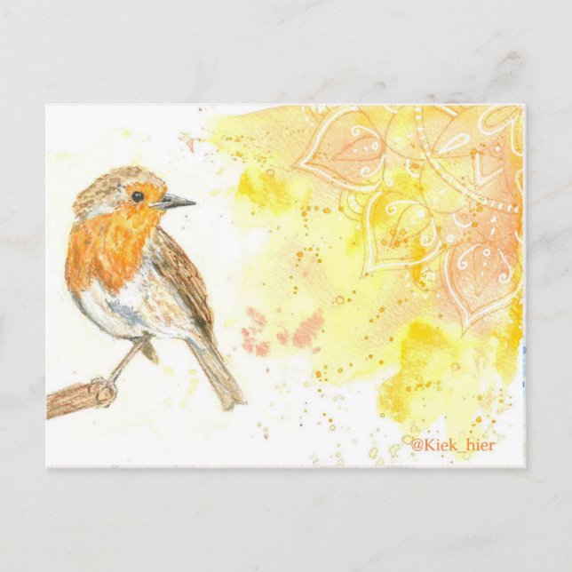 cartão postal do robin (Frente)