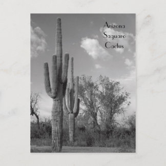 Cartão postal do Saguaro do Arizona