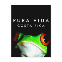 Cartão postal do Sapo de árvore Costa Rica Pura Vi