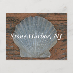 Cartão postal do Shell Stone Harbor Scallop