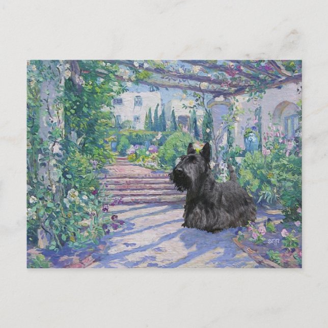 Cartão Postal do Terrier Escocês (Frente)
