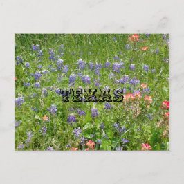 Cartão Postal do TEXAS