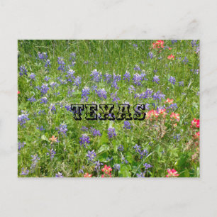 Cartão Postal do TEXAS